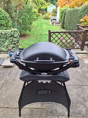 Weber q1000 portable - portable, gas