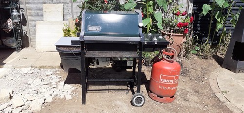 Vintage 1999 weber spirit - vintage,